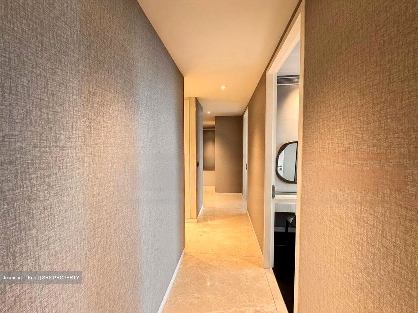 Wallich Street (D2), Condominium #483037831